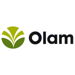 Olam